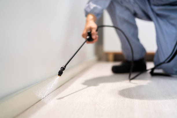 Licensed Termite Control service in Edmonston, MD - Nex Pest Control