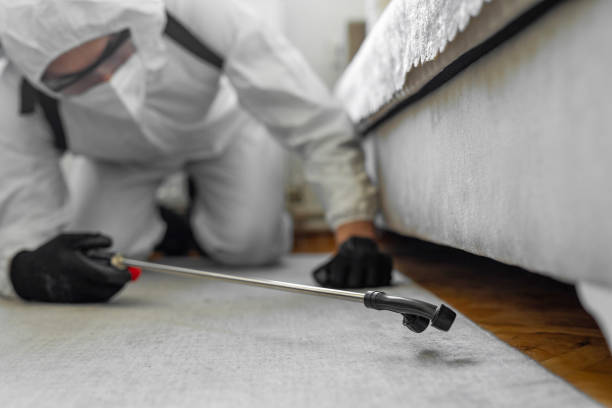 Professional Termite Control technician working in Edmonston, MD