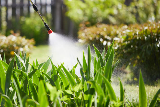 24/7 Emergency Termite Control experts in Edmonston, MD