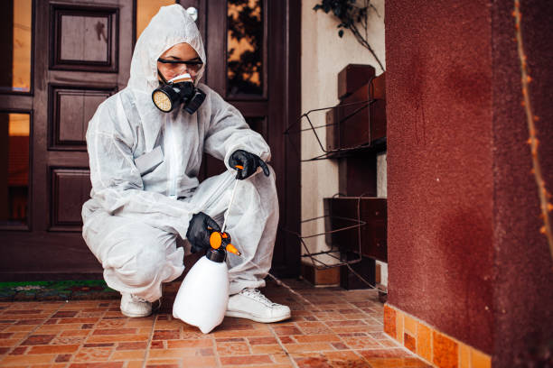 Reliable Termite Control contractor in Edmonston, MD by Nex Pest Control