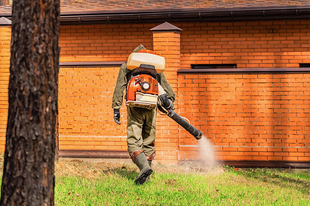 Trusted Rodent Control service in Edmonston, MD - Nex Pest Control